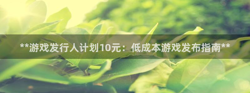 新宝gg5测速：**游戏发行人计划10元：低成本游戏发布指南**