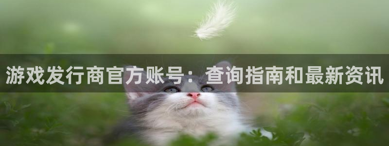 新宝gg登录入口：游戏发行商官方账号：查询指南和最新资讯