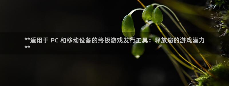 新宝gg一创造奇迹用户登录：**适用于 PC 和移动设备的终极游戏发行工具：释放您的游戏潜力
**