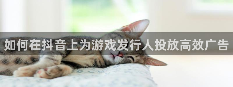 新宝gg—创造奇迹官网登录：如何在抖音上为游戏发行人投放高效广告