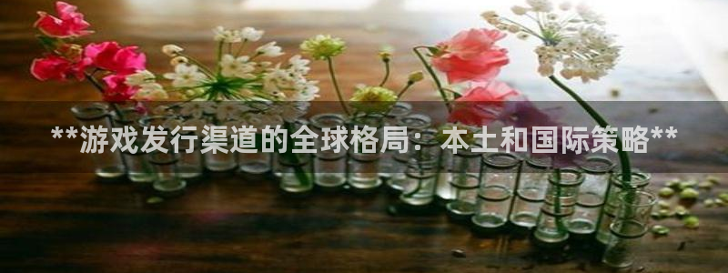 新宝gg5账号登录：**游戏发行渠道的全球格局：本土和国际策略**