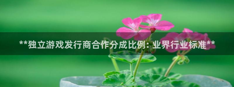 新宝gg平台注册?：**独立游戏发行商合作分成比例: 业界行业标准**
