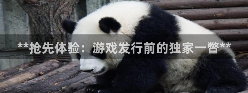 新宝gg一创造奇迹登陆新：**抢先体验：游戏发行前的独家一瞥**