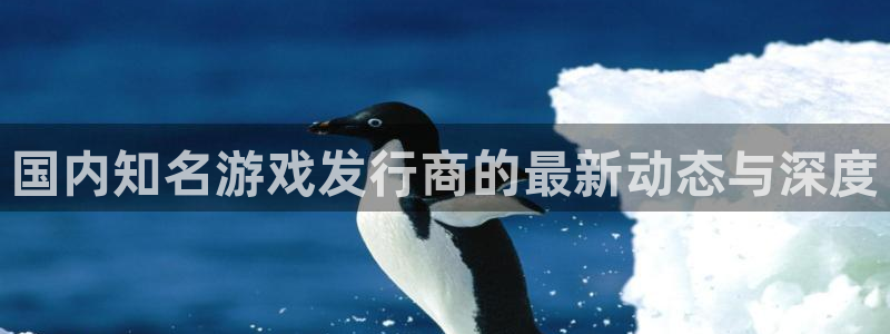新宝gg一创造奇迹用户登录：国内知名游戏发行商的最新动态与深度