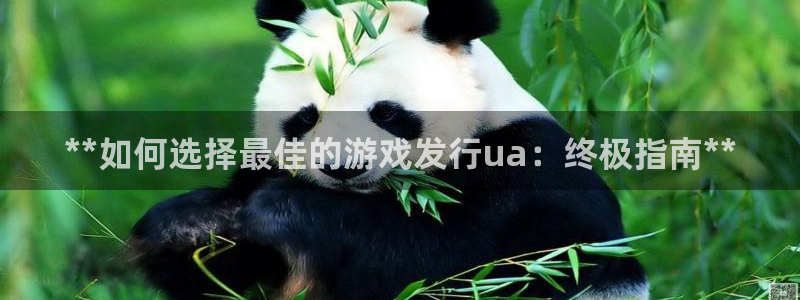 新宝GG平台登录注册：**如何选择最佳的游戏发行ua：终极指南**