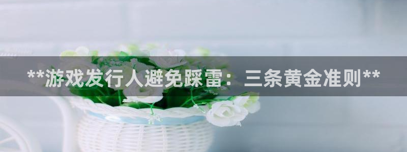 新宝gg创奇迹登录注册：**游戏发行人避免踩雷：三条黄金准则**