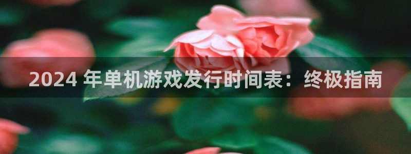新宝GG创造奇迹客服怎么联系：2024 年单机游戏发行时间表：终极指南