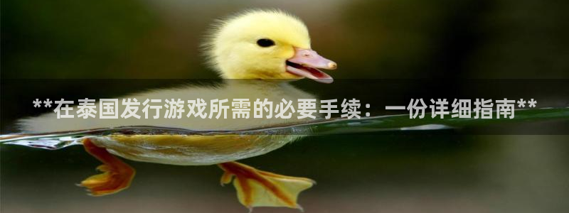 新宝gg官网最新版本更新内容介绍：**在泰国发行游戏所需的必要手续：一份详细指南**