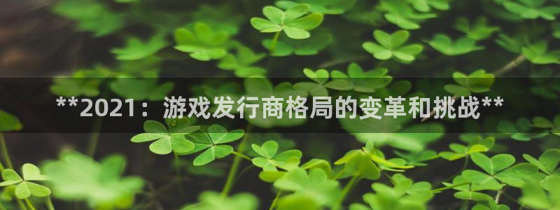 新宝gg创造奇迹登录入口网址：**2021：游戏发行商格局的变革和挑战**