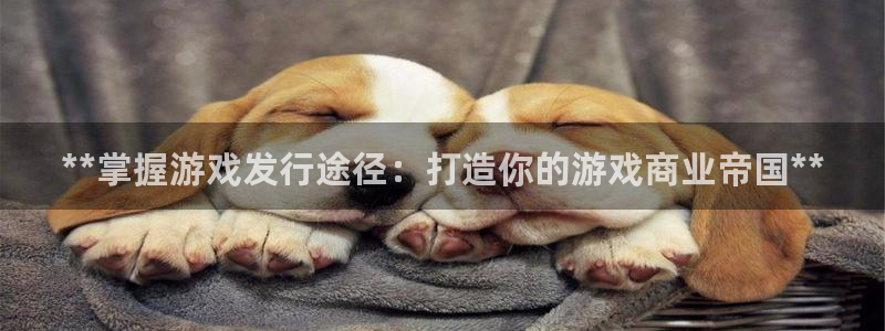 新宝GG平台注册开户：**掌握游戏发行途径：打造你的游戏商业帝国**