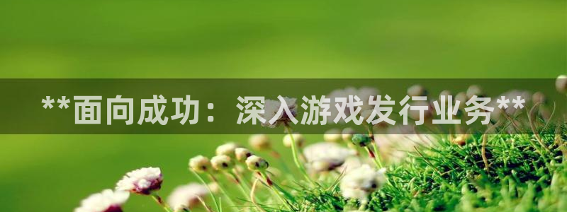 新宝gg创造奇迹会员注册登录：**面向成功：深入游戏发行业务**