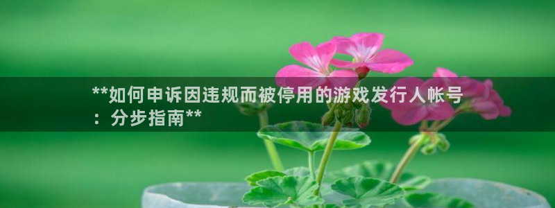 新宝gg账号首页：**如何申诉因违规而被停用的游戏发行人帐号
：分步指南**