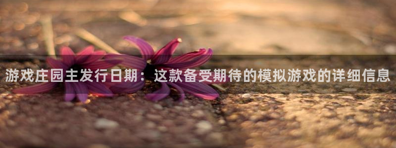 新宝gg最简单登录方法：游戏庄园主发行日期：这款备受期待的模拟游戏的详细信息