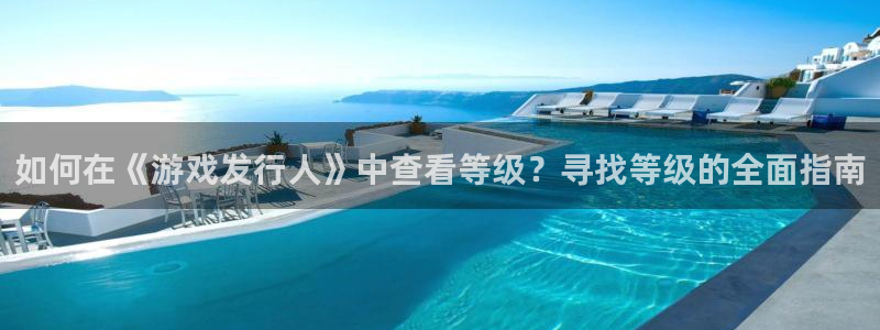新宝gg创造奇迹登录：如何在《游戏发行人》中查看等级？寻找等级的全面指南