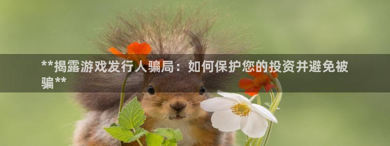 新宝gg创造奇迹手机登录：**揭露游戏发行人骗局：如何保护您的投资并避免被
骗**