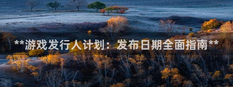 新宝gg怎么登录不上去了了：**游戏发行人计划：发布日期全面指南**