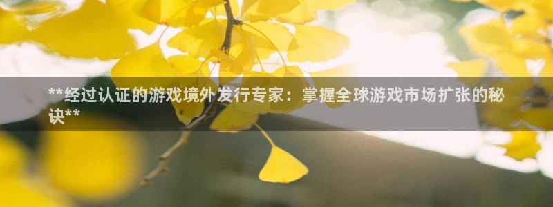 新宝gg创造奇迹登录首页：**经过认证的游戏境外发行专家：掌握全球游戏市场扩张的秘
诀**