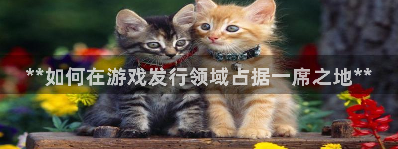 新宝gg怎么登录不上去了了：**如何在游戏发行领域占据一席之地**