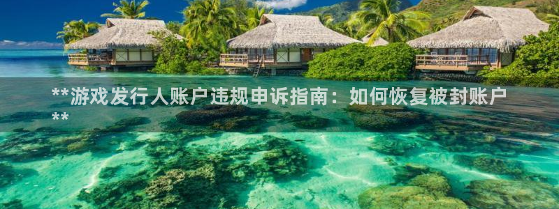 新宝gg—创造奇迹登录注册：**游戏发行人账户违规申诉指南：如何恢复被封账户
**