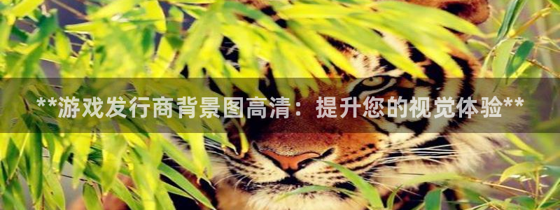 新宝gg1956注册地址：**游戏发行商背景图高清：提升您的视觉体验**