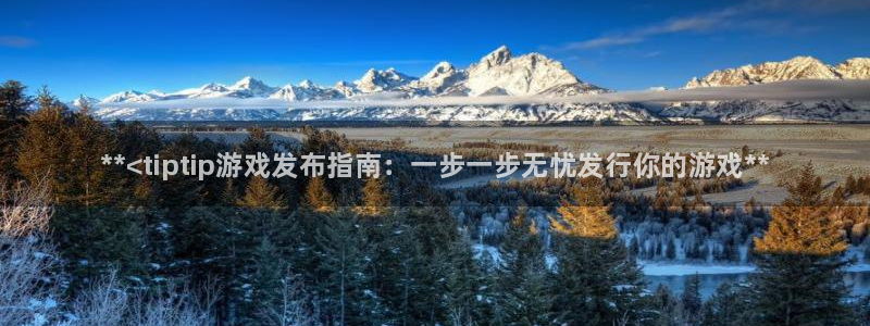 新宝gg注册平台：**<tiptip游戏发布指南：一步一步无忧发行你的游戏**