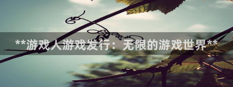 新宝gg平台注册官网：**游戏人游戏发行：无限的游戏世界**