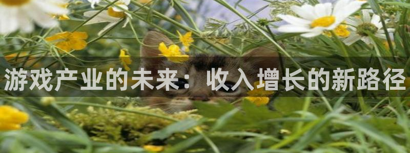 新宝gg — 创造奇迹!