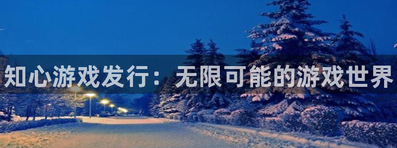 新宝gg平台注册地址：知心游戏发行：无限可能的游戏世界