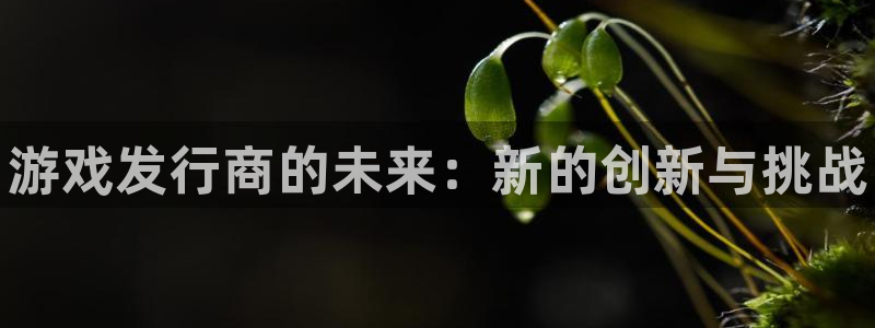 新宝gg售后人工客服电话：游戏发行商的未来：新的创新与挑战