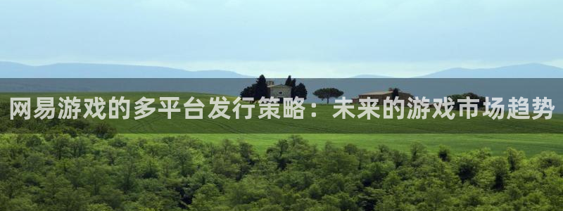 新宝gg一注册：网易游戏的多平台发行策略：未来的游戏市场趋势