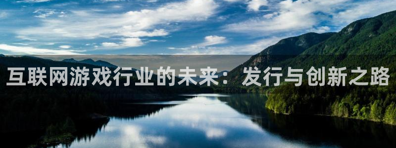 新宝gg开奖假不假：互联网游戏行业的未来：发行与创新之路