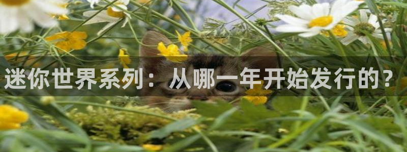 新宝gg怎么登录不上去了了：迷你世界系列：从哪一年开始发行的？