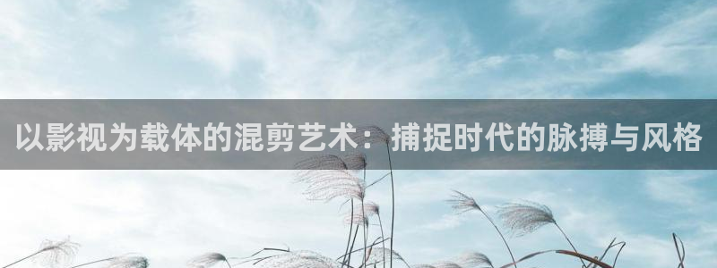在线宅男视频：以影视为载体的混剪艺术：捕捉时代的脉搏与风格