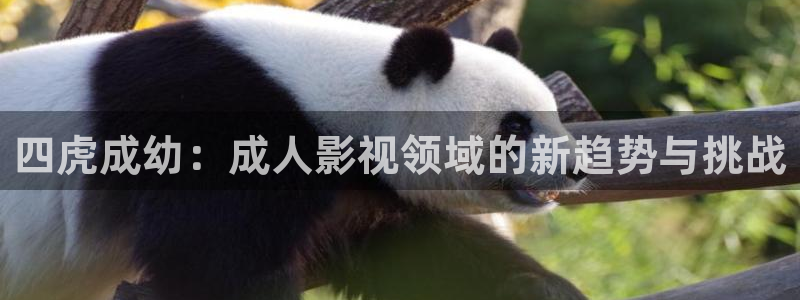 宅男视频一区二区三区：四虎成幼：成人影视领域的新趋势与挑战