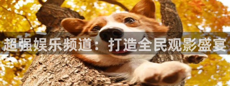宅男视频视频在线观看：超强娱乐频道：打造全民观影盛宴