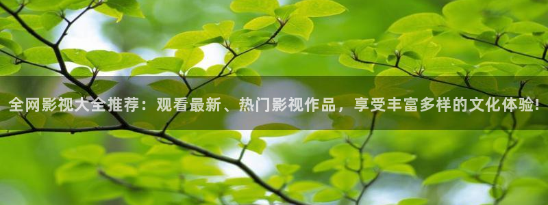 宅男视频资源：全网影视大全推荐：观看最新、热门影视作品，享受丰富多样的文化体验!