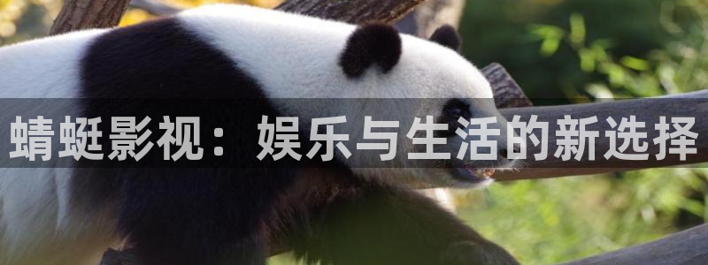宅男视频′：蜻蜓影视：娱乐与生活的新选择