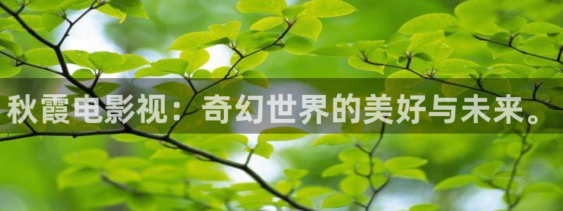 国产宅男视频免费观看：秋霞电影视：奇幻世界的美好与未来。