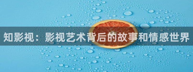 k频道宅男视频：知影视：影视艺术背后的故事和情感世界