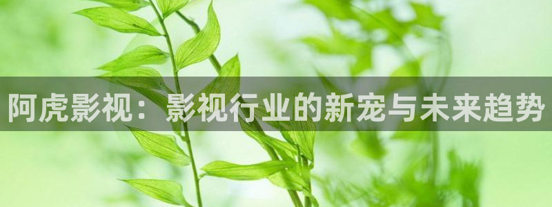 宅男视频5.3.6：阿虎影视：影视行业的新宠与未来趋势