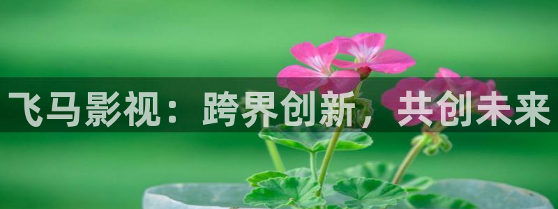 草莓宅男视频：飞马影视：跨界创新，共创未来
