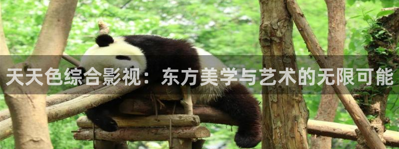 宅男视频a：天天色综合影视：东方美学与艺术的无限可能