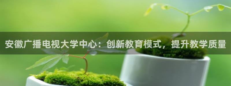 宅男视频污版：安徽广播电视大学中心：创新教育模式，提升教学质量